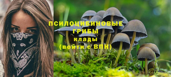 хмурый Рославль