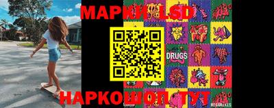 мет Кингисепп
