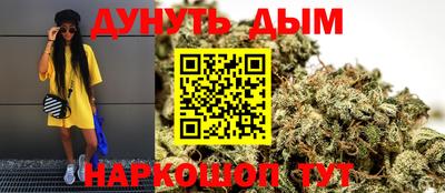 мет Кингисепп