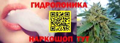 мет Кингисепп