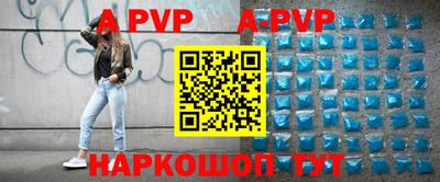 мет Кингисепп