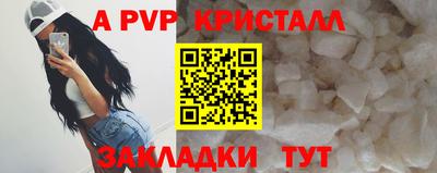 мет Кингисепп