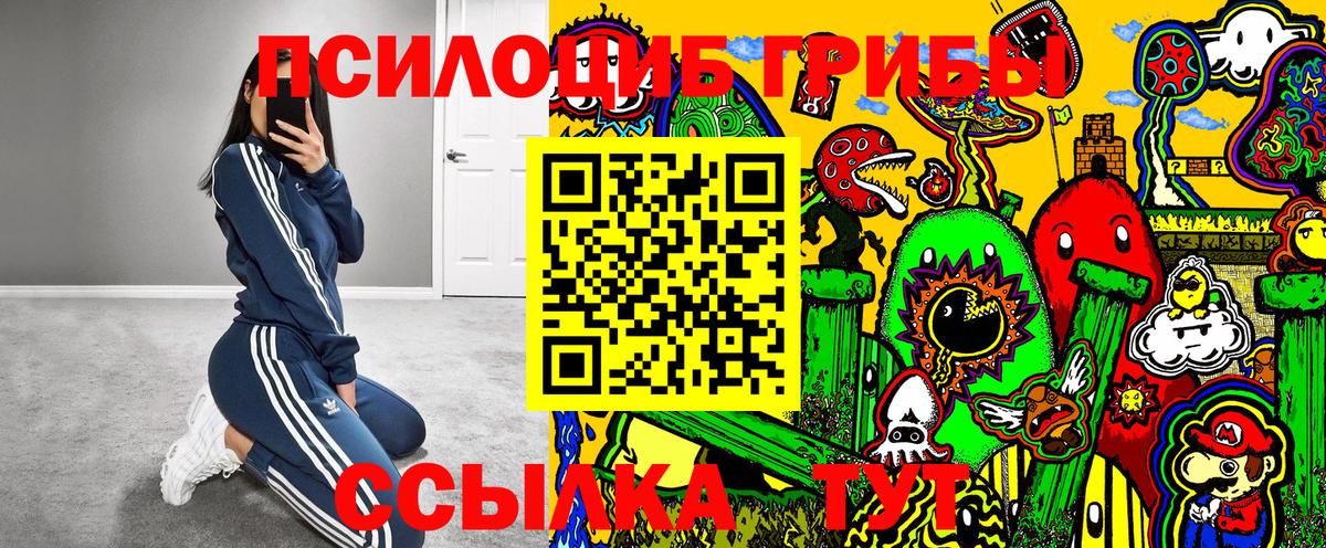 Галлюциногенные грибы ЛСД  Вход с VPN  Сердобск  Галлюциногенные грибы Psilocybine cubensis 