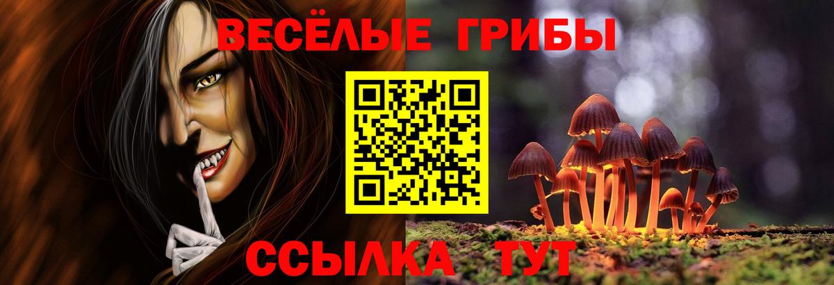 Галлюциногенные грибы GOLDEN TEACHER Сердобск